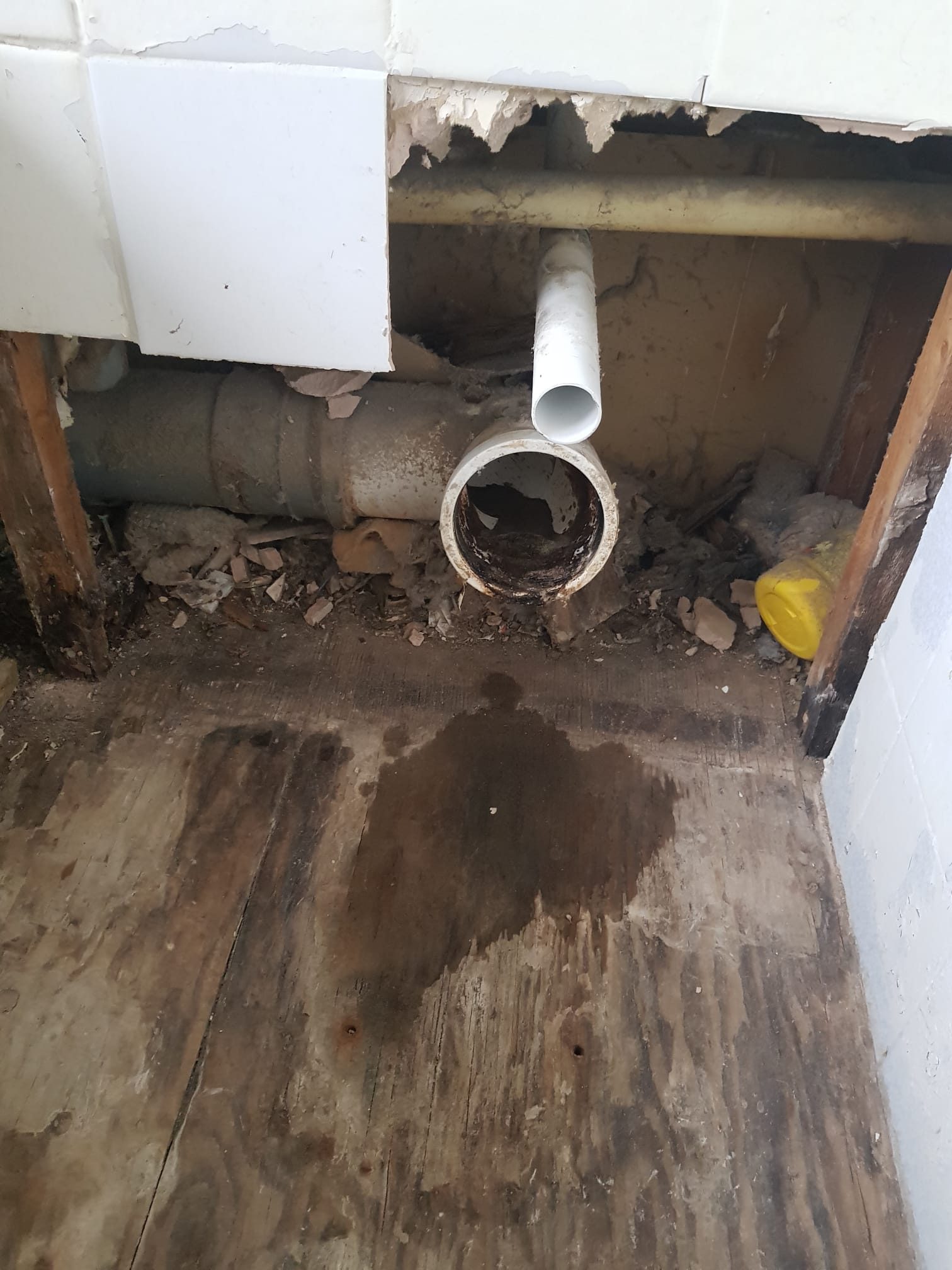 Toilet before installation